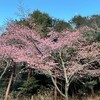 2月の日誌的