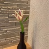 父の同居トライアル、感謝離