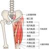 太もも内側の施術