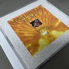 Maharaja Night Hi-NRG Revolution Vol. 4