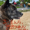 2024.6月のまとめ〜YE━d(*´∀｀*)b━S!!           