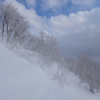 ◆'23/02/02　鳥海山山麓・鳳来山③…鳳来山山頂へ