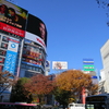 九品仏の紅葉  (世田谷の絶景紅葉と三途の川)