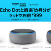 たったの999円！Echo Dotと音楽聴き放題1か月分セットでお得🔥期間不明なので急げ！(2019)