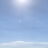 さっちゃん日光浴