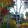 湖南三山常楽寺の秋その１