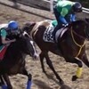 京成杯オータムハンデキャップ 夏のマイル王へ！ダノンリバティ態勢絶好 「競馬レース結果ハイライト」2016年≪競馬場の達人,競馬予想≫