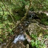 新緑輝く日本の山旅へ！清流と絶景、心洗われる大自然の歩き方