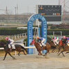 笠松競馬・東海グルメ紀行