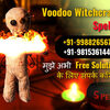 Best astrologer in India | Call Now - +91-7310116152 - India