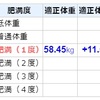 レコーディング・ヘルス２２日目と雑感