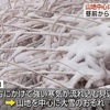 熊本県は11日夕方にかけ山地で大雪のおそ