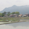 水田に投影する農村風景