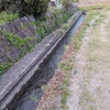 猛暑の兆しと、水との戦い！