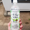 熱中症対策なのにウマい！「ライムソルト」が夏に最強すぎる