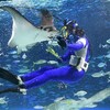 生き物の表情