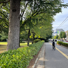 本日のロケハン 五福公園周辺！