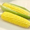 朝一で美容院の日。今年も毎日食べたいとうもろこしと最近お気に入りのパン。