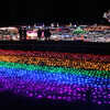 Winter Vista Illumination 2011 (2)