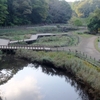 しらかしの池（神奈川県大和）