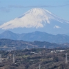 鳥見日記　大磯城山公園から湘南平