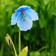 信州の四季 ホテルメトロポリタン長野 信州四季回廊 | トドロキデザイン