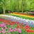 【キューケンホフ公園（Keukenhof）】満開チューリップの幻想空間。雨天のち晴れ。