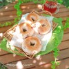 焼きたておうちのパン𖤣𖤥𖠿𖤣𖤥