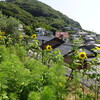 *[長崎日記]長い梅雨が明けた長崎