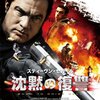 「沈黙の復讐」（Born to Raise Hell）は淡々と敵を倒すセガールを見る映画