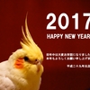 2017 HAPPY NEW YEAR