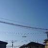 晴れ☀保育園運動会