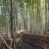 山荘　竹ふえ