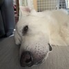 以外に暑かった