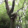 花は、どこでも咲きます！