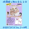 ☆保護猫を家族に☆ ねこのおうちさがし＠忠岡 8/20(日)開催のお知らせ