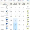 11/11 土曜日