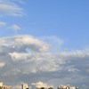 端午の節句・鯉のぼり　東京タワー　東京スカイツリー　４月下旬から５月上旬