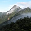 石鎚山探鳥会