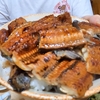 おんせん県のうな丼が凄すぎ～ボリューム大！大分市(公設地方卸売市場)セブンスター
