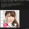 撮影した写真をPytorchで画像認識