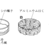 トウモロコシの種子の発芽のときにおこること(２０１７年滋賀）