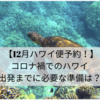 【12月ハワイ便予約！】コロナ禍でのハワイ〜出発までに必要な準備は？