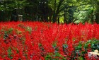 晩夏洛北フォト日記　 - 2026年8月23日＆24日 -