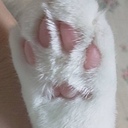 みずさわんのブログ