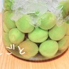 自家製梅酒と残った梅の活用方法