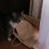 いつもあるとは限らない