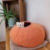 音楽のハイシーズン