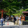 大田神社のカキツバタ