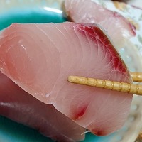 絶品 釣った魚を熟成させるのは意外と簡単 魅力を紹介 うささん釣りしてますねん